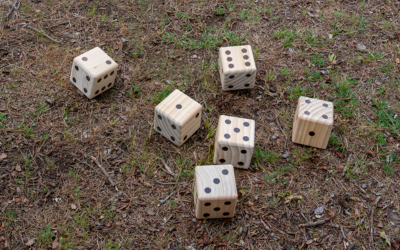 lawn dice game